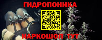 СК Тула